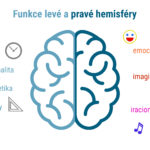 funkce hemisfer predelano